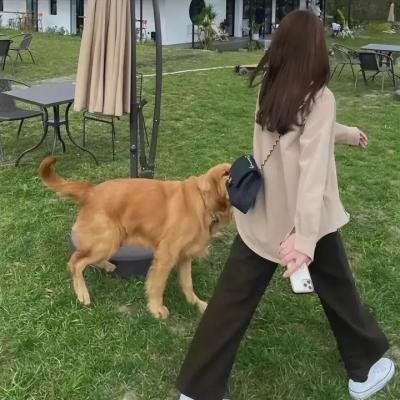爱的赌注